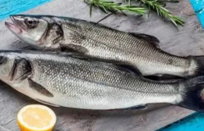 Ψάρια Αγία Τριάδα